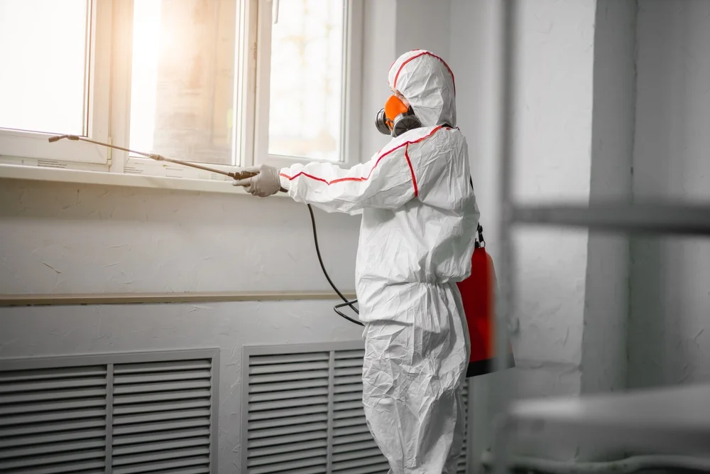 Professional mold remediation services in Dundee, MI
